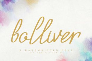 Bolliver: A Stylish Font for Small Businesses