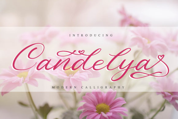 Candelya Font for Creative Publishing