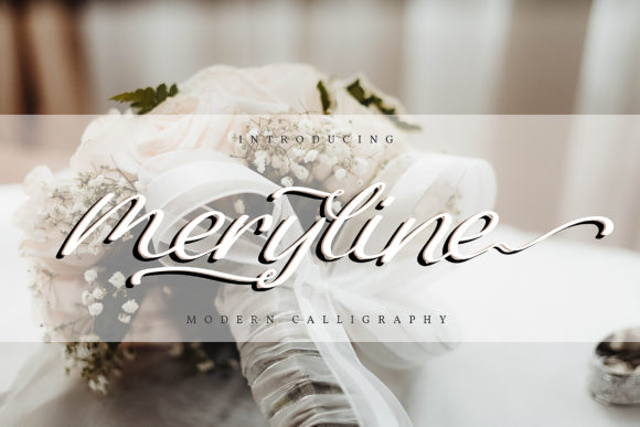 Meryline Font for Creative Campaigns