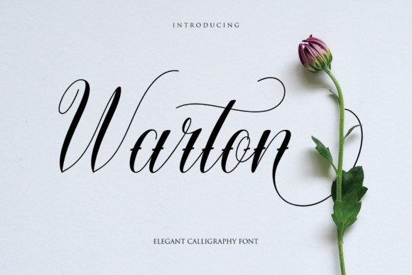 Warton Font for Elegant Branding